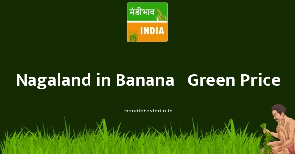 Banana - Green भाव
